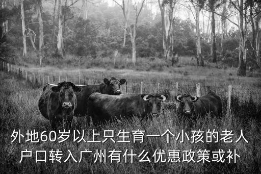 外地60歲以上只生育一個(gè)小孩的老人戶口轉(zhuǎn)入廣州有什么優(yōu)惠政策或補(bǔ)