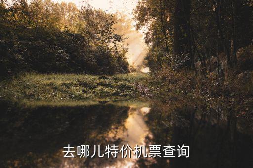 去哪兒特價機票查詢