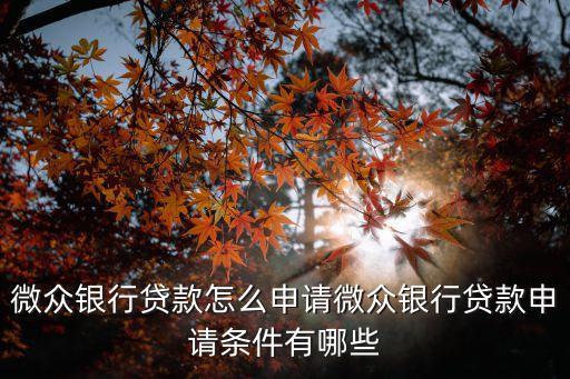 微眾銀行貸款怎么申請微眾銀行貸款申請條件有哪些