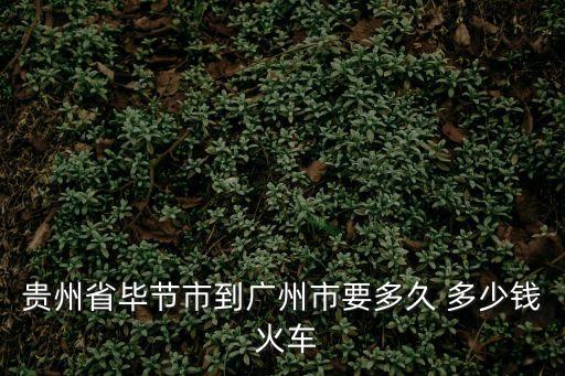 貴州省畢節市到廣州市要多久 多少錢 火車