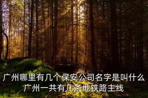廣州誠威保安公司，廣州哪里有保安服務公司