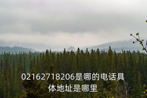 上海市計(jì)量測試技術(shù)研究院分部電話，請(qǐng)問這個(gè)02150720299號(hào)碼的具體公司及地址是什么