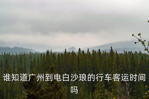 廣州長途汽車站到電白沙瑯，廣州那個汽車站有到電白沙瑯的
