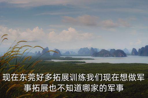 現在東莞好多拓展訓練我們現在想做軍事拓展也不知道哪家的軍事
