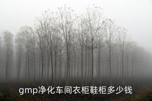 gmp凈化車間衣柜鞋柜多少錢
