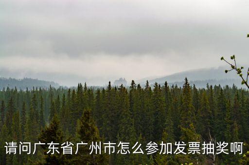 請問廣東省廣州市怎么參加發票抽獎啊