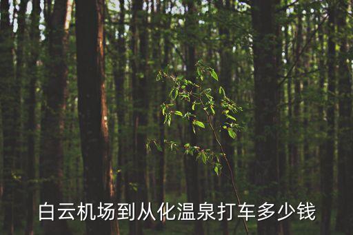 白云機場到從化溫泉打車多少錢