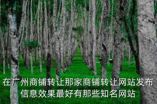 廣州荔灣商鋪轉讓平臺哪個好，廣州有什么店鋪轉讓的中介公司嗎