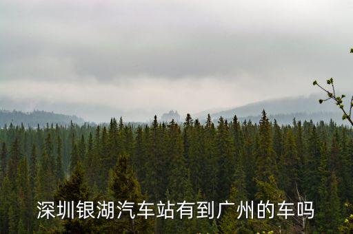 深圳銀湖汽車站有到廣州的車嗎