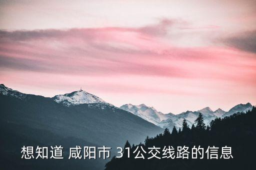 廣州超輕lc陶瓷構件生產商，鉭電容電解電容和普通電容的區別是什么