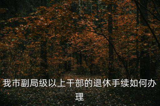 我市副局級以上干部的退休手續如何辦理