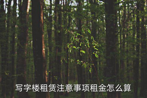 廣州梅林寫(xiě)字樓租金，廣州開(kāi)公司的租房要求和寫(xiě)字樓租金問(wèn)題
