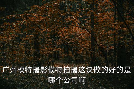 廣州模特攝影模特拍攝這塊做的好的是哪個公司啊