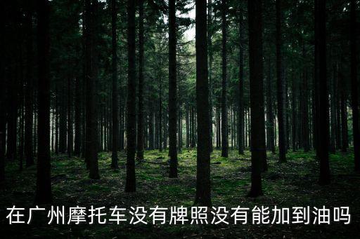 在廣州摩托車沒有牌照沒有能加到油嗎