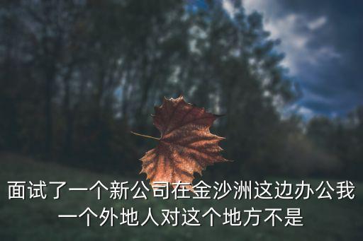 面試了一個新公司在金沙洲這邊辦公我一個外地人對這個地方不是
