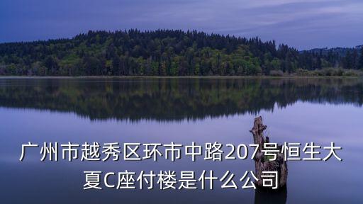 廣州市越秀區環市中路207號恒生大夏C座付樓是什么公司