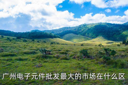 廣州電子元件批發最大的市場在什么區