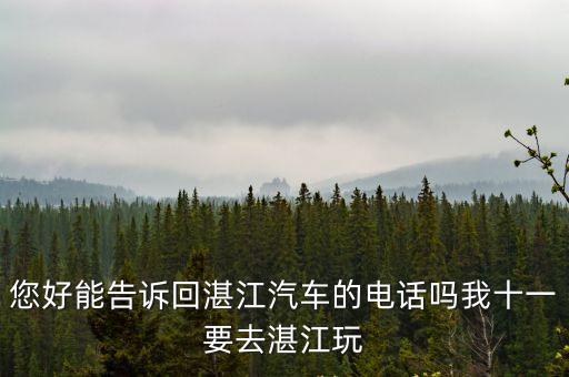 您好能告訴回湛江汽車的電話嗎我十一要去湛江玩