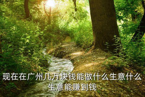 現(xiàn)在在廣州幾萬塊錢能做什么生意什么生意能賺到錢