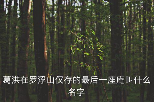 葛洪在羅浮山僅存的最后一座庵叫什么名字