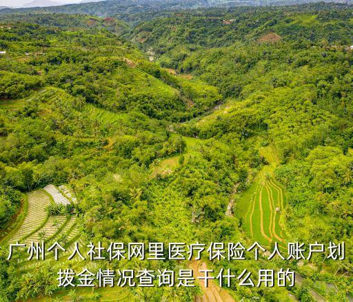 廣州個人社保網里醫療保險個人賬戶劃撥金情況查詢是干什么用的