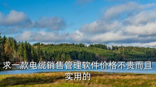 廣州線纜行業(yè)管理系統(tǒng)，求一款電纜銷售管理軟件價格不貴而且實用的