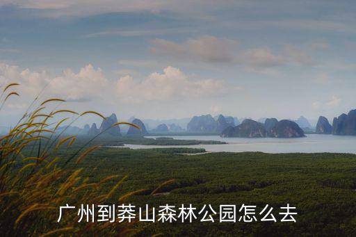 廣州到莽山森林公園怎么去
