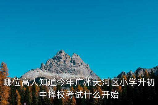 哪位高人知道今年廣州天河區小學升初中擇校考試什么開始
