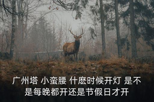 廣州塔 小蠻腰 什麼時候開燈 是不是每晚都開還是節假日才開