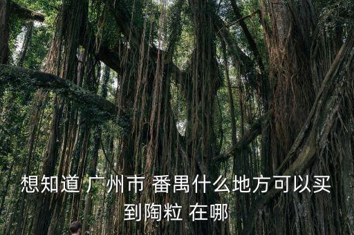 想知道 廣州市 番禺什么地方可以買到陶粒 在哪