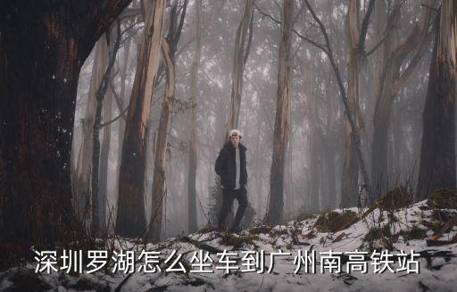 羅湖口岸到廣州南坐幾路車，深圳羅湖怎么坐車到廣州南高鐵站