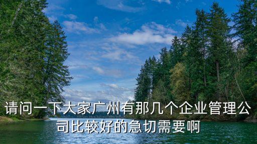 請問一下大家廣州有那幾個企業管理公司比較好的急切需要啊