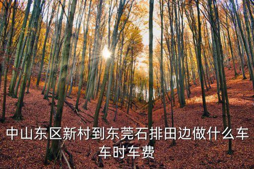 中山東區新村到東莞石排田邊做什么車車時車費