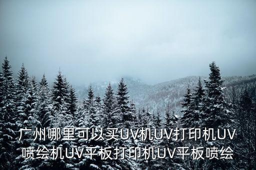 廣州市uv打印加工志拓噴繪，廣州uv打印加工