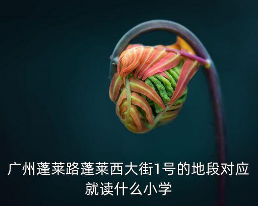 廣州蓬萊路蓬萊西大街1號(hào)的地段對(duì)應(yīng)就讀什么小學(xué)