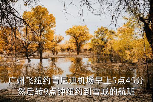 肯尼迪飛廣州視頻，廣州飛紐約肯尼迪機場早上5點45分然后轉9點鐘紐約到雪城的航班