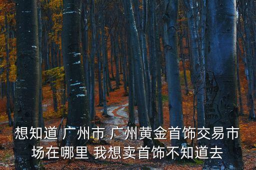 廣州黃金交易所荔灣營業部，期指公司你們公司在哪條街上了電話是多少