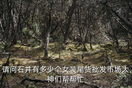 請問石井有多少個女裝尾貨批發(fā)市場大神們幫幫忙