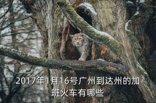 廣州至達州有幾個加班車，L362廣州到達州時刻表