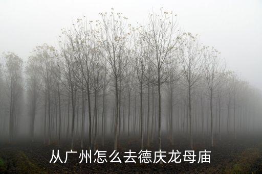 從廣州怎么去德慶龍母廟