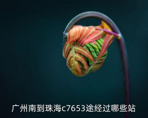 廣州南到珠海c7653途經過哪些站