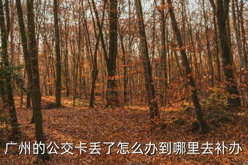 廣州的公交卡丟了怎么辦到哪里去補辦