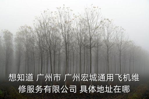 想知道 廣州市 廣州宏城通用飛機維修服務有限公司 具體地址在哪