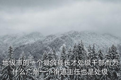 廣州員村街道副主任，地級市的一個縣的縣長才處級干部而為什么廣州一個街道主任也是處級