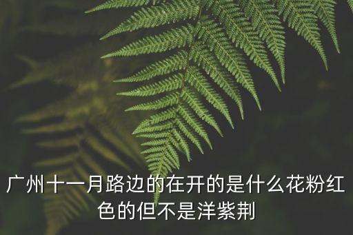 廣州街上很多粉紅色的花叫什么，請問廣州西關逢源路上綠樹成蔭最近更是開了滿樹的花尤以粉色