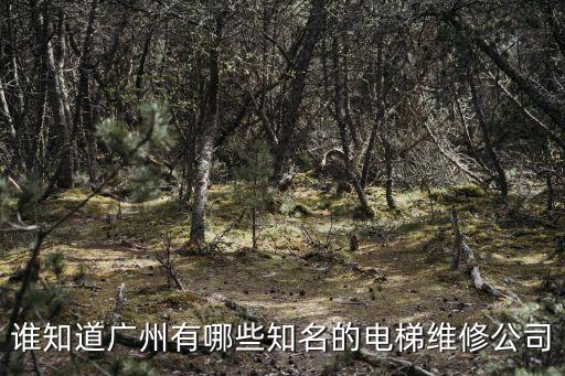 電梯維保公司排行廣州，廣州電梯維修保養公司哪家好