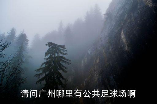 請問廣州哪里有公共足球場啊