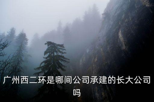 廣州西二環是哪間公司承建的長大公司嗎