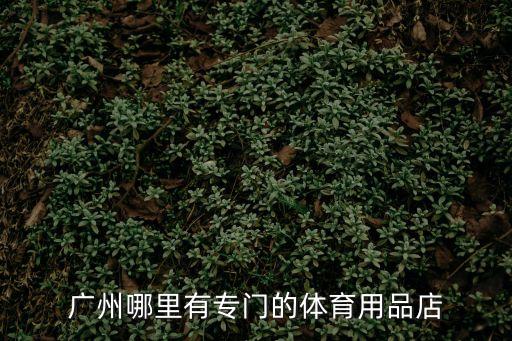 廣州哪里有專門的體育用品店