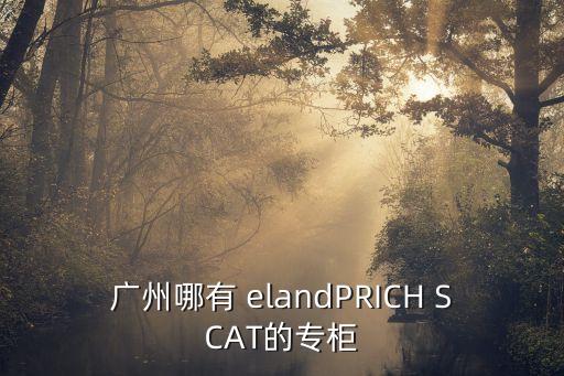 廣州哪有 elandPRICH SCAT的專柜